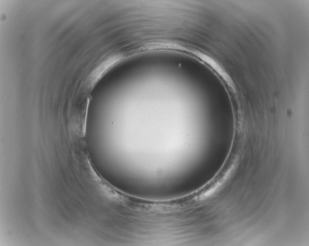 X0000066970905200603271205