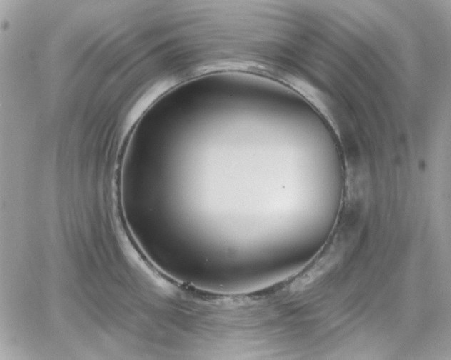 X0000066970906200603271205