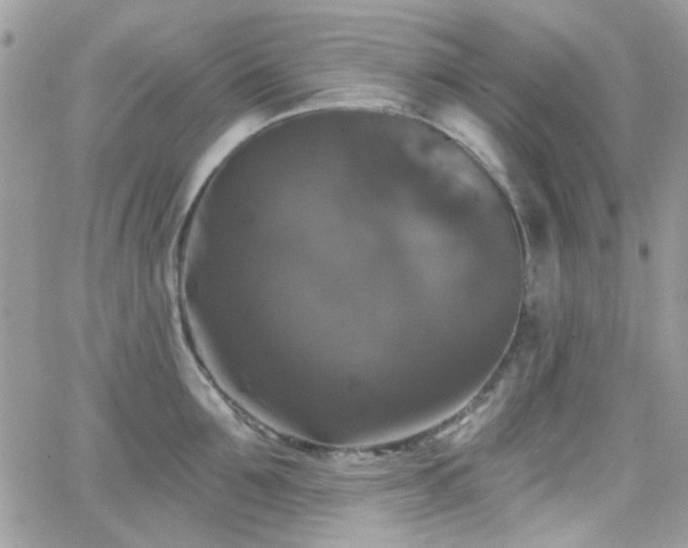 X0000066970907200603271205