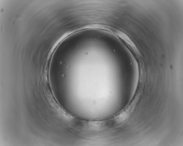 X0000066970908200603271205