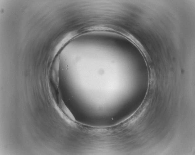 X0000066970909200603271205