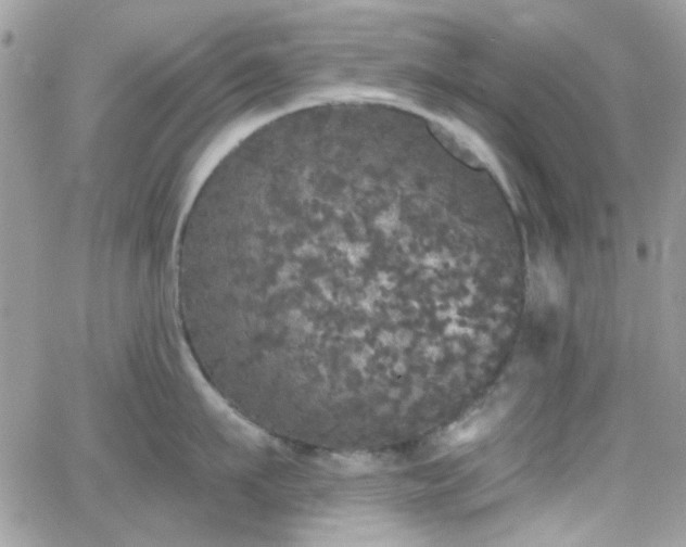 X0000066970911200603271205