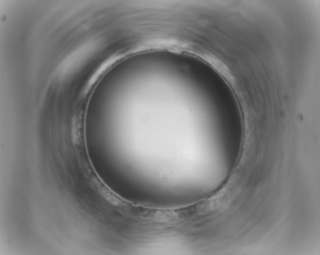 X0000066970912200603271205