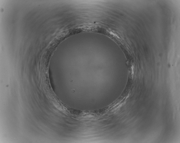 X0000066970913200603271204