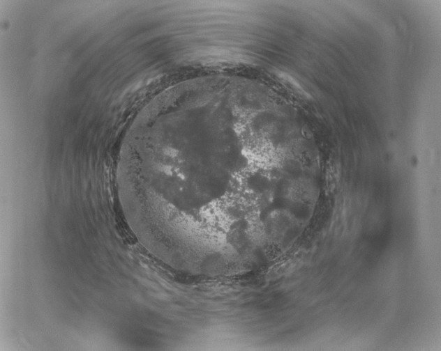 X0000066970917200603271204