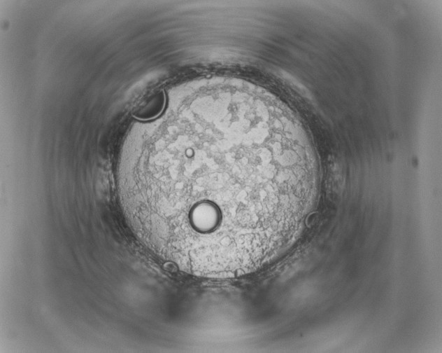 X0000066970918200603271204