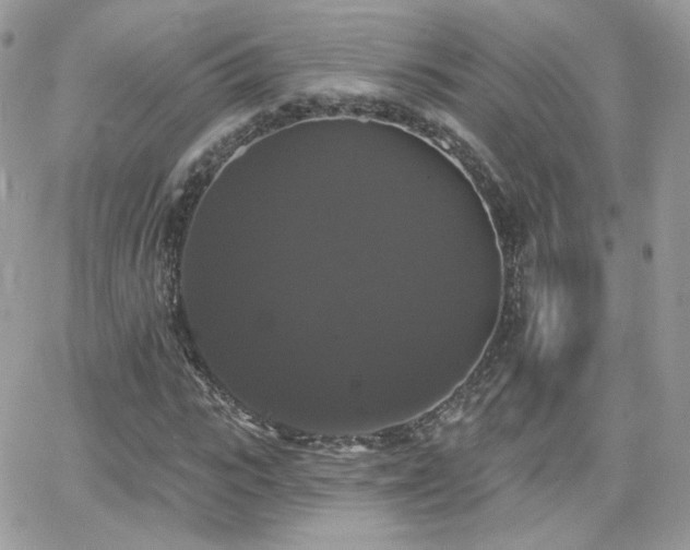 X0000066970919200603271204