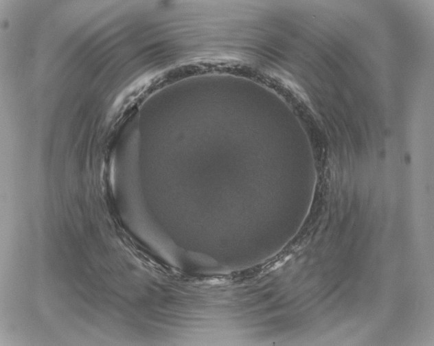 X0000066970920200603271204