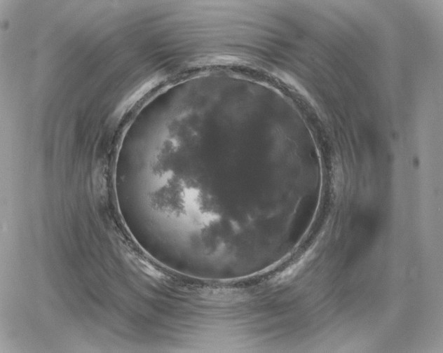 X0000066970921200603271204