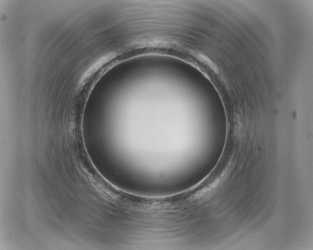 X0000066970922200603271204