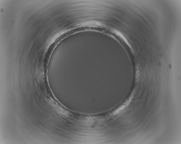 X0000066970923200603271204