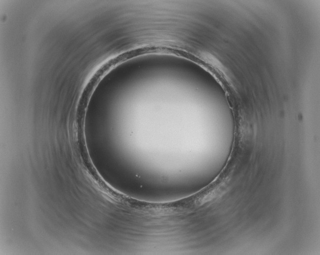 X0000066970924200603271204