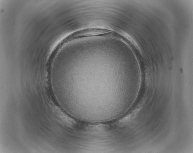 X0000066970926200603271204