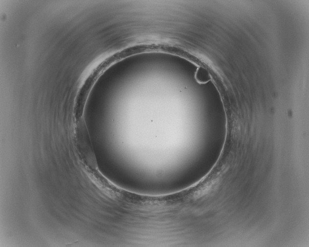 X0000066970927200603271204