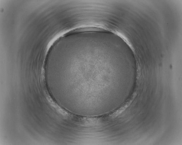 X0000066970928200603271204