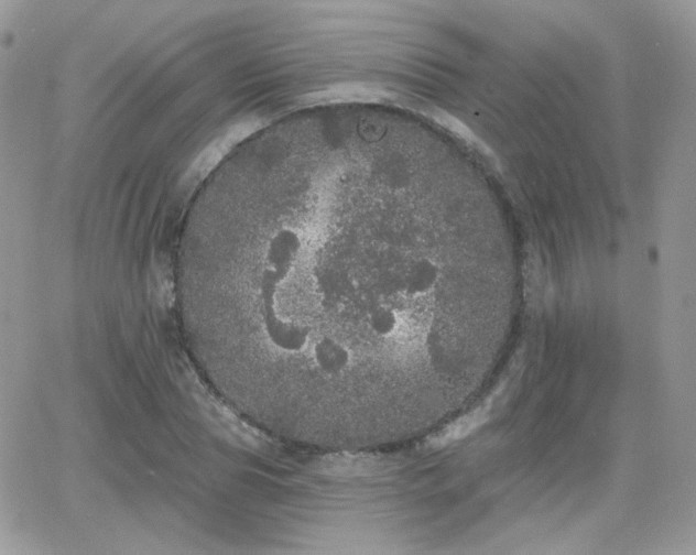 X0000066970929200603271204