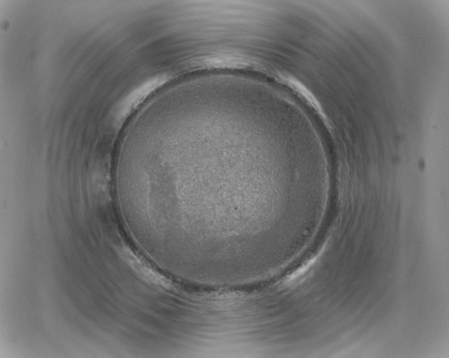 X0000066970930200603271204