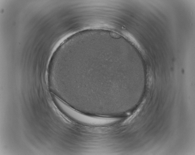 X0000066970932200603271204