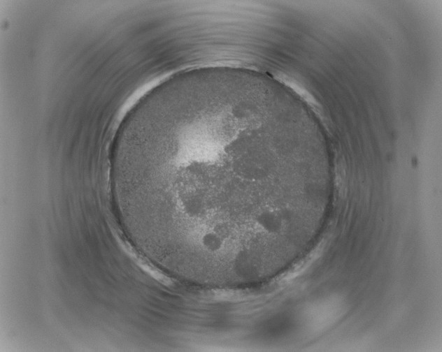 X0000066970933200603271204