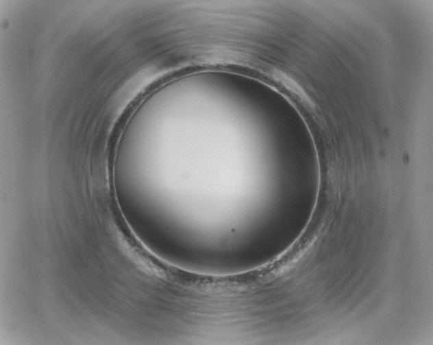 X0000066970934200603271204