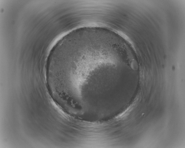 X0000066970935200603271204