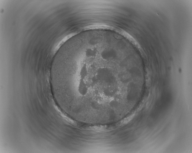 X0000066970937200603271204