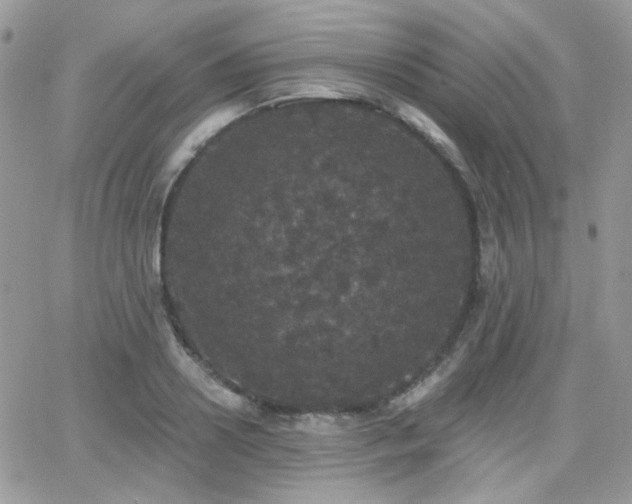 X0000066970938200603271204