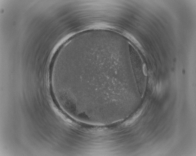 X0000066970939200603271204