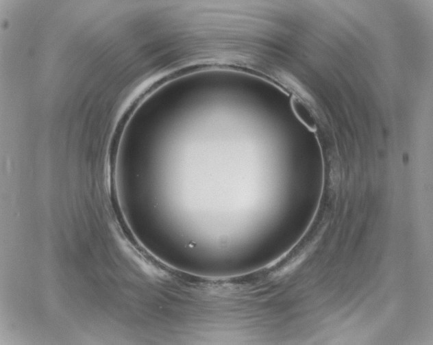 X0000066970940200603271204