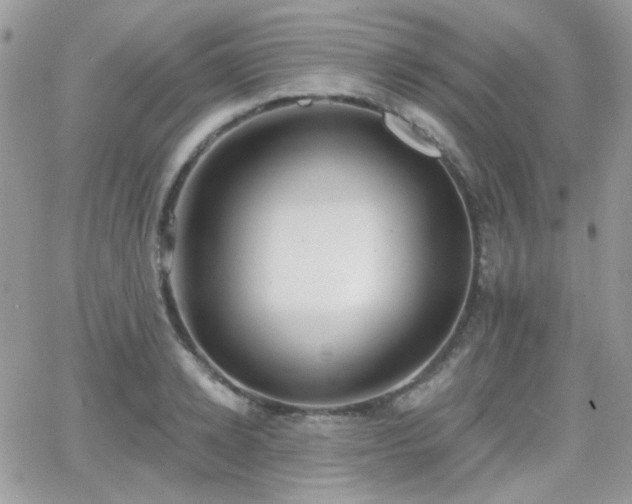 X0000066970942200603271204