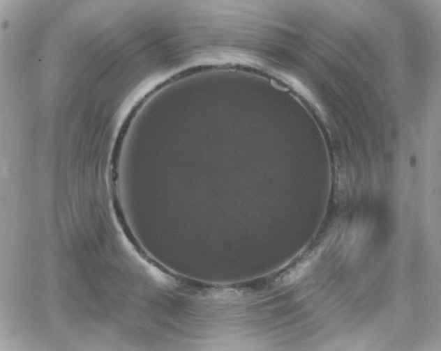 X0000066970943200603271204