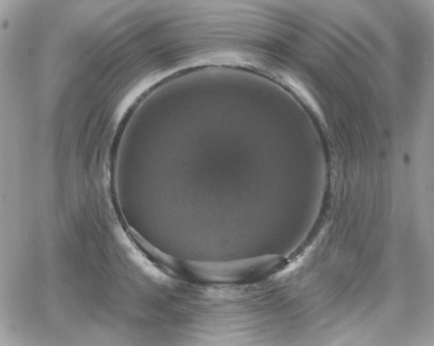 X0000066970944200603271204