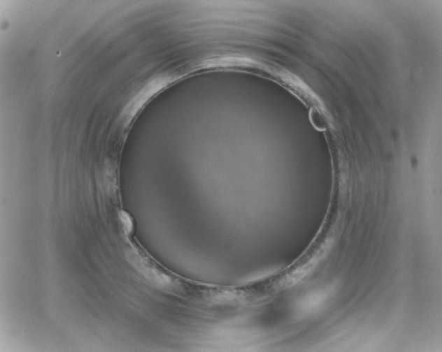 X0000066970945200603271204