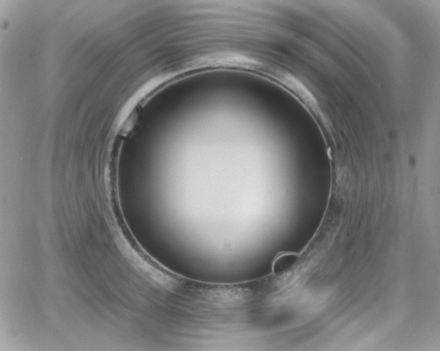 X0000066970947200603271205