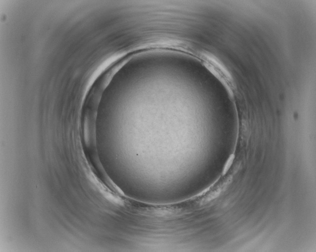 X0000066970948200603271205