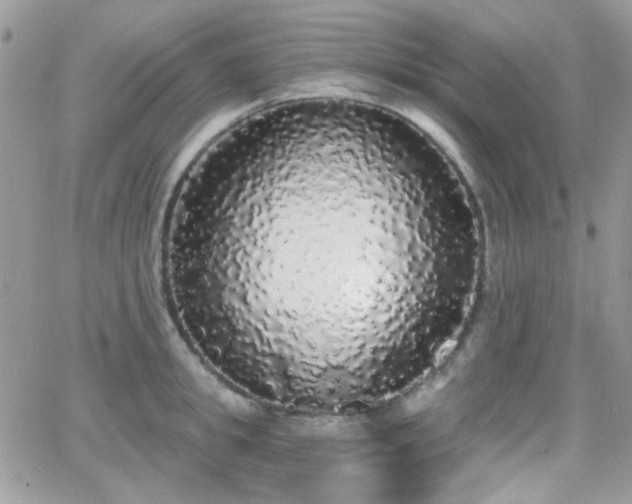 X0000066970949200603271205