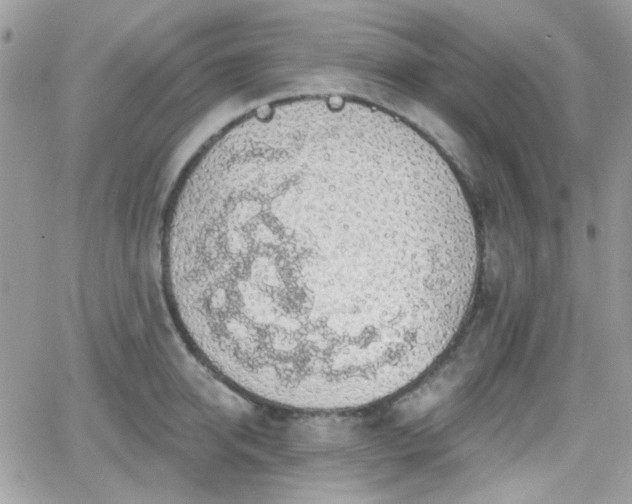 X0000066970950200603271205