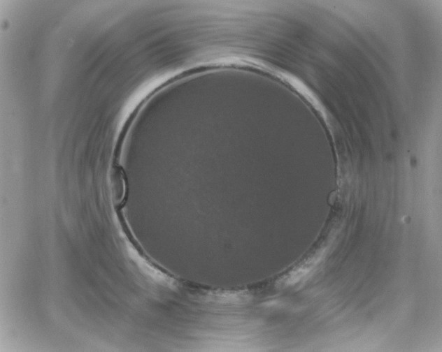 X0000066970951200603271205