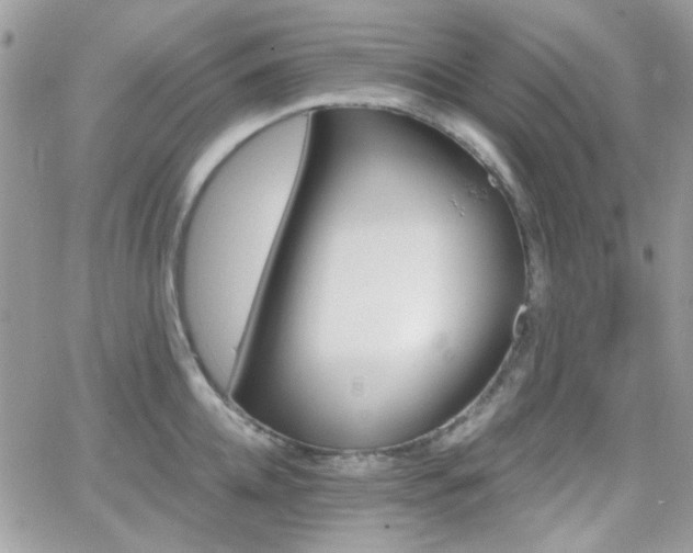 X0000066970952200603271205