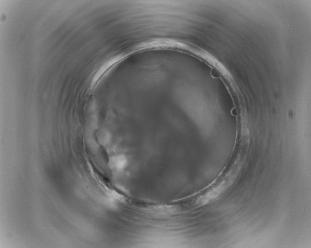 X0000066970953200603271205