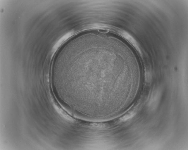 X0000066970954200603271205