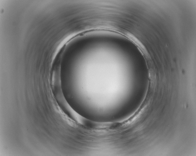 X0000066970956200603271205