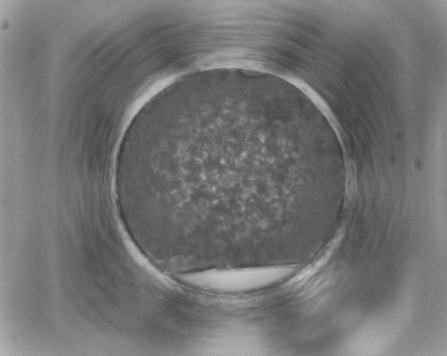 X0000066970957200603271205