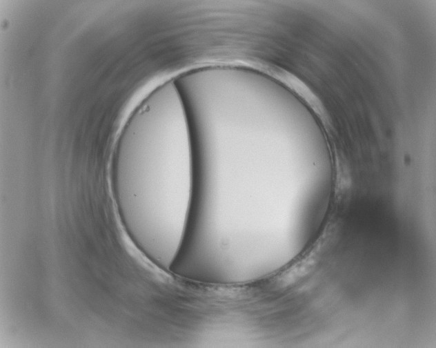 X0000066970958200603271205