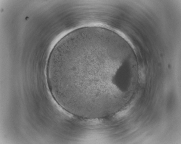 X0000066970959200603271205