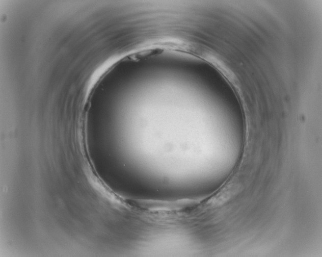 X0000066970960200603271205