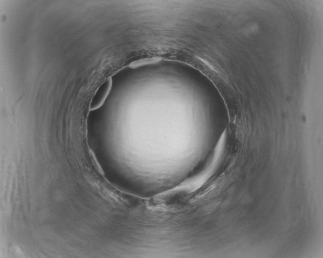 X0000066970961200603271204