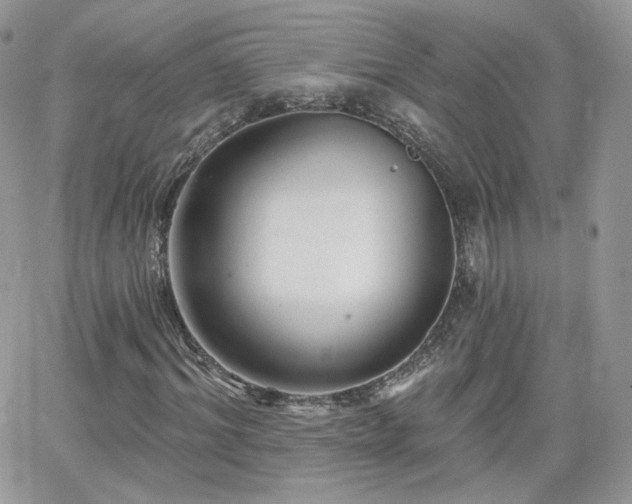 X0000066970964200603271204