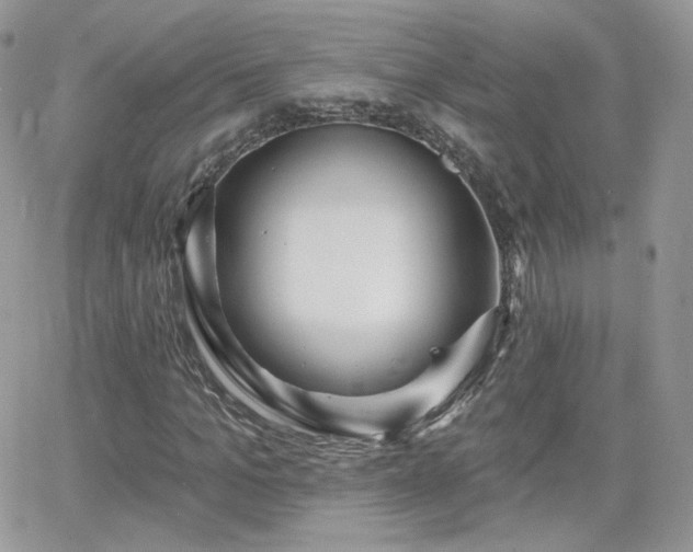 X0000066970965200603271204