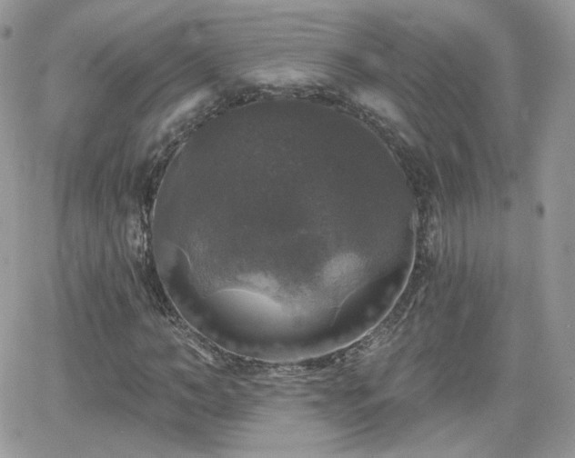 X0000066970966200603271204